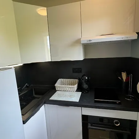 公寓 2p Renove A Cabourg, Proche Et Thalasso, Avec Balcon Et Parking, 4 Pers. - Fr-1-487-368 卡布尔